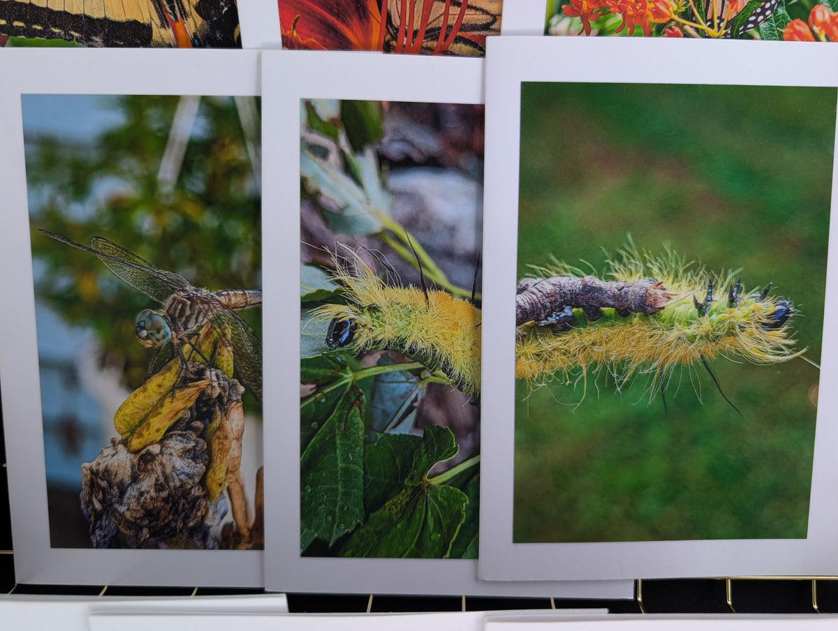 Greeting card