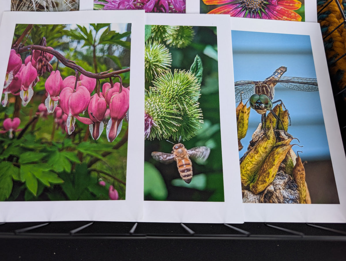 Greeting card